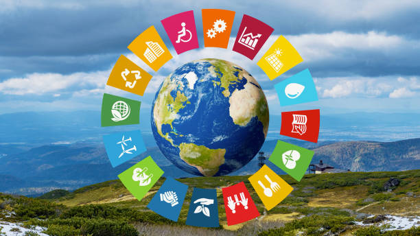 How Businesses Can Contribute to the SDGs: A Step-by-Step Guide